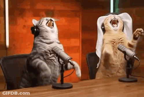 Two Cats Singing Into Microphones GIF
