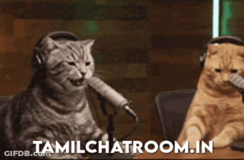 Two Cats Sitting At Microphones Tamilchatroom.in GIF