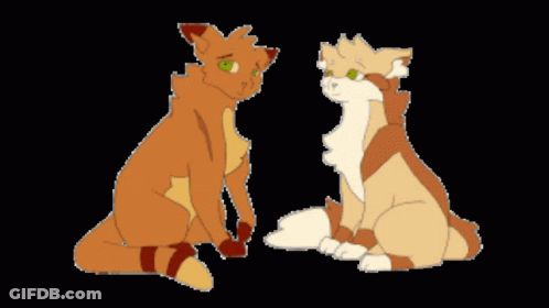 Two Cats Sitting Next To Each Other On Black Background GIF