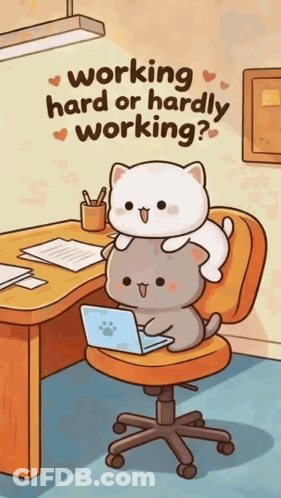 Two Cats Sitting On Office Chair With Laptop GIF