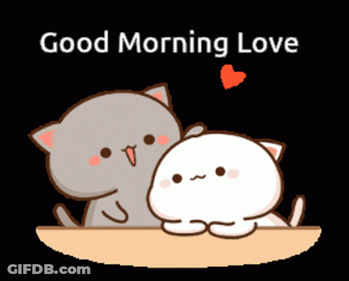Two Cats Sitting On Table Good Morning Love GIF