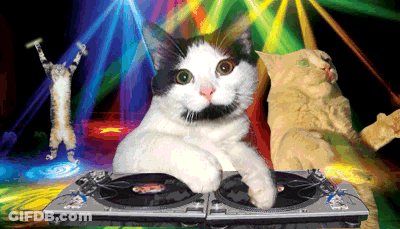 Two Cats Sitting On Turntable GIF