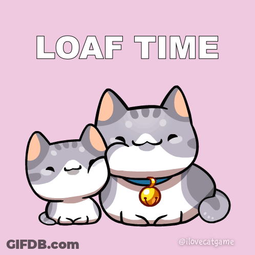 Two Cats Sitting Together Loaf Time GIF