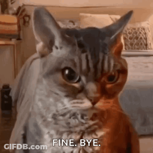 Two Cats Sitting Together One Saying Fine Bye GIF