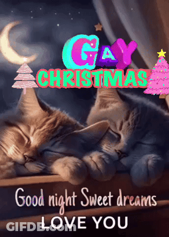 Two Cats Sleeping Christmas GIF