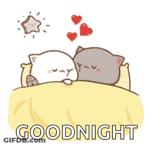 Two Cats Sleeping Goodnight GIF
