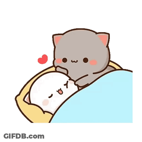 Two Cats Sleeping In Bed With Heart GIF