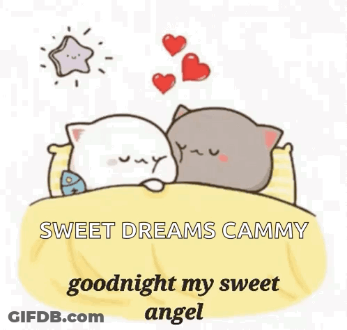 Two Cats Sleeping In Bed With Hearts And Star GIF