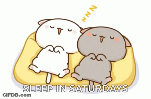 Two Cats Sleeping On Couch Saying Sleep In Saturdays GIF