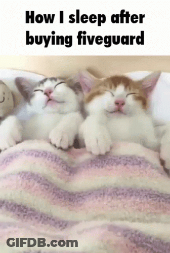 Two Cats Sleeping Under A Striped Blanket With The Words How I Sleep After Buying Fiveguard Above Them GIF