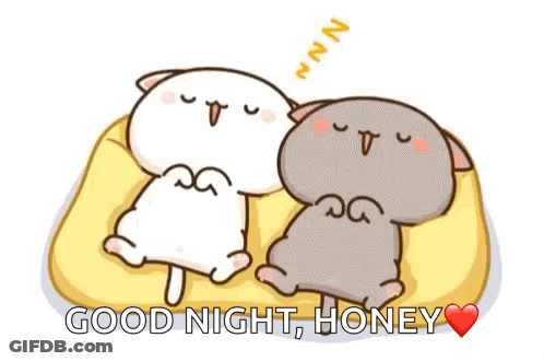 Two Cats Sleeping With Good Night Honey GIF