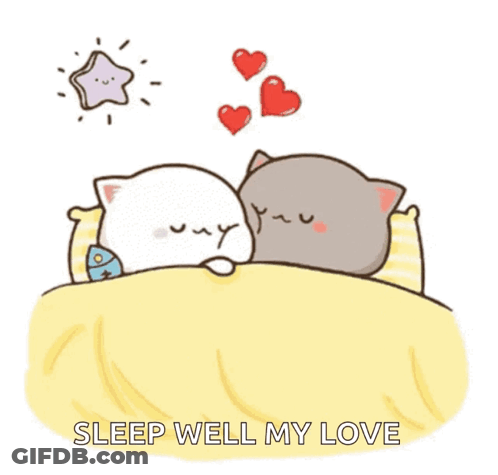 Two Cats Sleeping With Hearts And Sleep Well My Love GIF