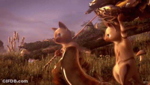 Two Cats Standing In Field BFD GIF