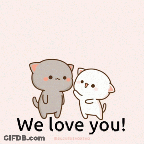 Two Cats Standing Next To Each Other GIF