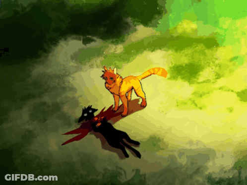 Two Cats Standing Together GIF