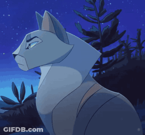 Two Cats Standing Together GIF