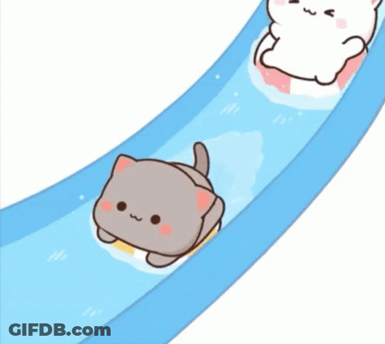Two Cats Swim GIF