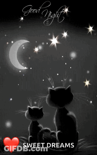 Two Cats Under Crescent Moon Good Night Sweet Dreams GIF
