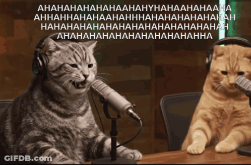 Two Cats Wearing Headphones GIF