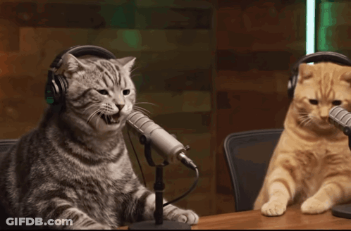 Two Cats Wearing Headphones Are Sitting At A Table With Microphones GIF