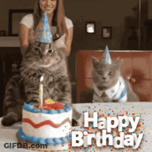 Two Cats Wearing Party Hats Are Sitting Next To A Birthday Cake That Says Happy Birthday GIF