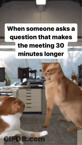 Two Cats When Someone Asks Question That Makes Meeting 30 Minutes Longer GIF
