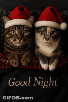 Two Cats With Bunny Ears In Bed With Easter Eggs GIF