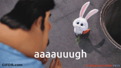 Two Cats With Kisses For You GIF