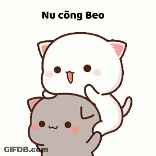 Two Cats With Nu Cong Beo GIF