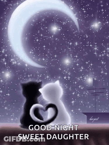 Two Cats With Tails In Heart Shape GIF