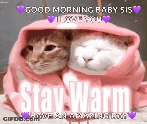 Two Cats Wrapped In A Pink Blanket With The Words `` Good Morning Baby Sis I Love You '' Written Above Them . GIF