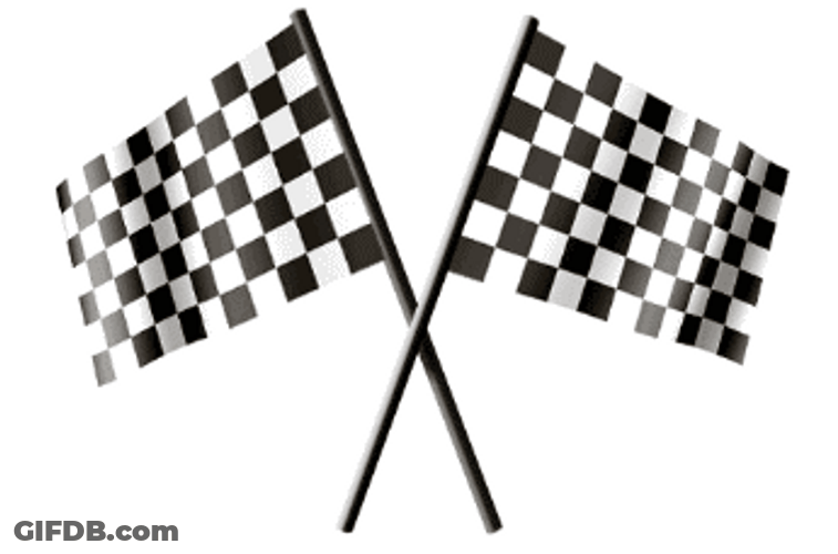 Two Checkered Racing Flag GIF