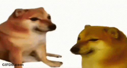 Two Cheemis Are Sitting Next To Each Other On A White Background . GIF