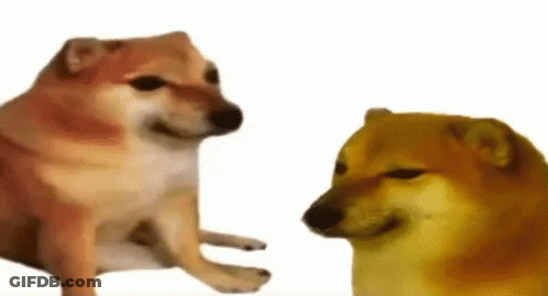 Two Cheems Dogs Are Sitting Next To Each Other And Looking At Each Other . GIF
