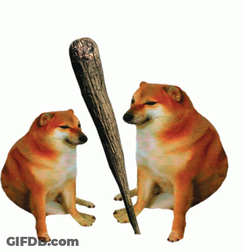 Two Cheetah Dogs Sitting Next To Each Other With A Wooden Bat GIF