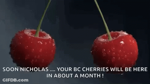 Two Cherries Falling Into Water Saying Soon Nicholas GIF