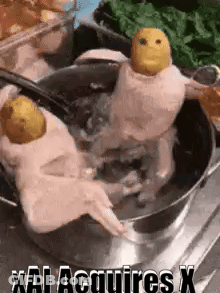 Two Chickens Are Sitting In A Pot Of Water With A Face On Their Heads . GIF