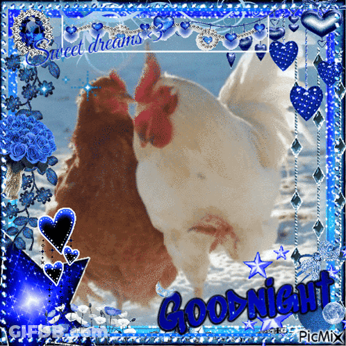 Two Chickens Saying Good Night GIF