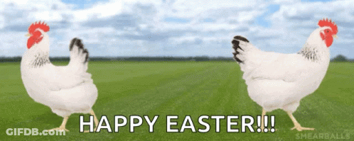 Two Chickens Standing In Field Happy Easter GIF