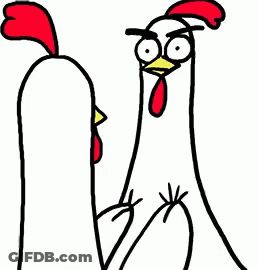 Two Chickens Standing With Open Beaks GIF