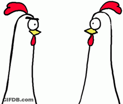 Two Chickens With Big Eyes And Beaks GIF