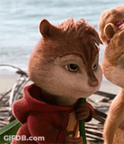 Two Chipmunks On Beach GIF