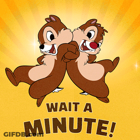Two Chipmunks Saying Wait A Minute GIF