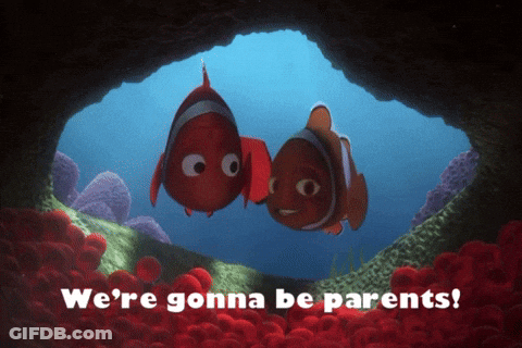 Two Clown Fish In Cave Saying We're Gonna Be Parents GIF