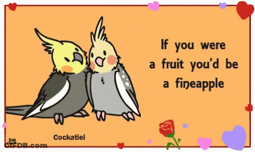 Two Cockatiels Kissing On Card Saying If You Were A Fruit You'd Be A Fineapple GIF