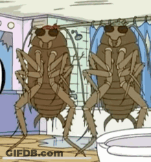 Two Cockroaches Are Standing In A Bathroom Near A Toilet GIF