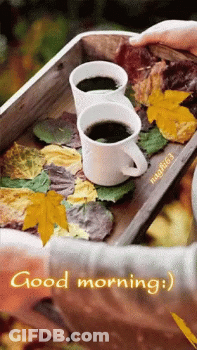 Two Coffee Cups With Leaves Saying Good Morning GIF