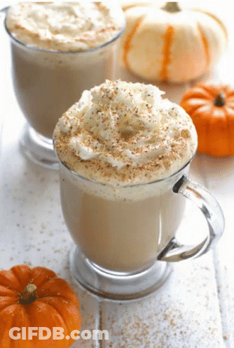 Two Coffee Cups With Whipped Cream And Pumpkin Spice GIF