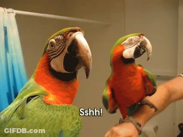 Two Colorful Parrots On Arm One Saying Sshh GIF
