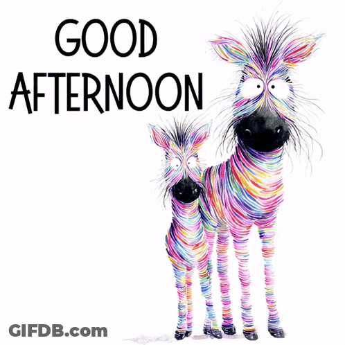 Two Colorful Zebras Are Standing Next To Each Other With The Words Good Afternoon Above Them GIF